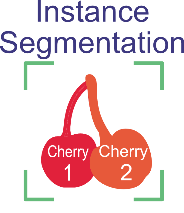 Instance segmentation, showing the two cherries, shaded different colors and the words cherry 1 and cherry 2
