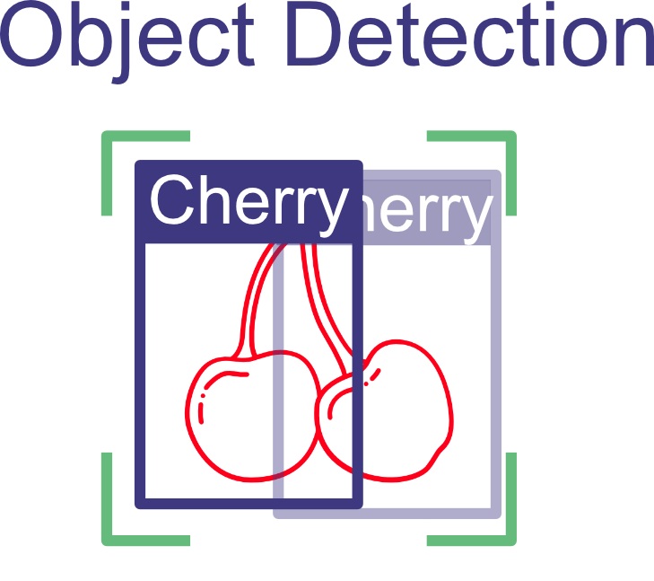 Object detection,showing two cherries each with a rectangle around it and the word Cherry 