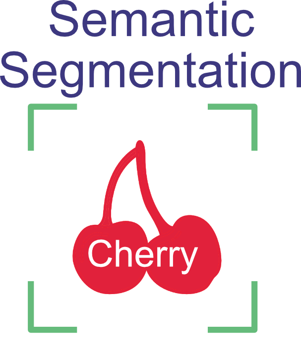 Semantic segmentation, showing two cherries shaded in, and the word cherry across both of them