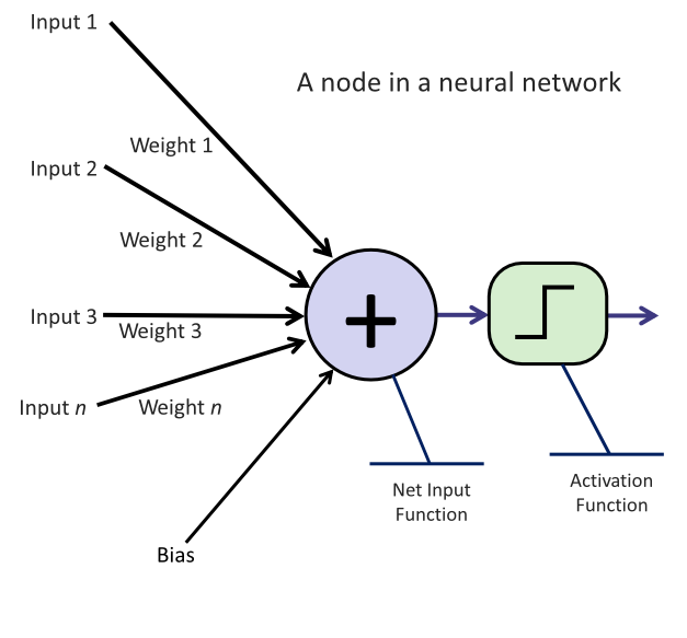 A node in a neural network