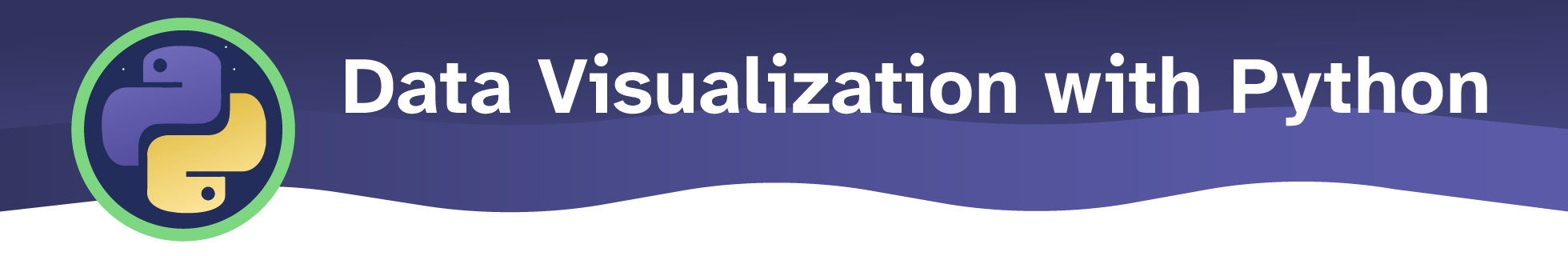 Data Visualization banner