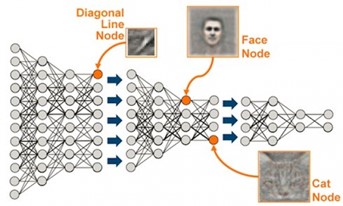 Representation of a deep neural network showing earlier layers capturing abstract features while later layers capture more specific features.