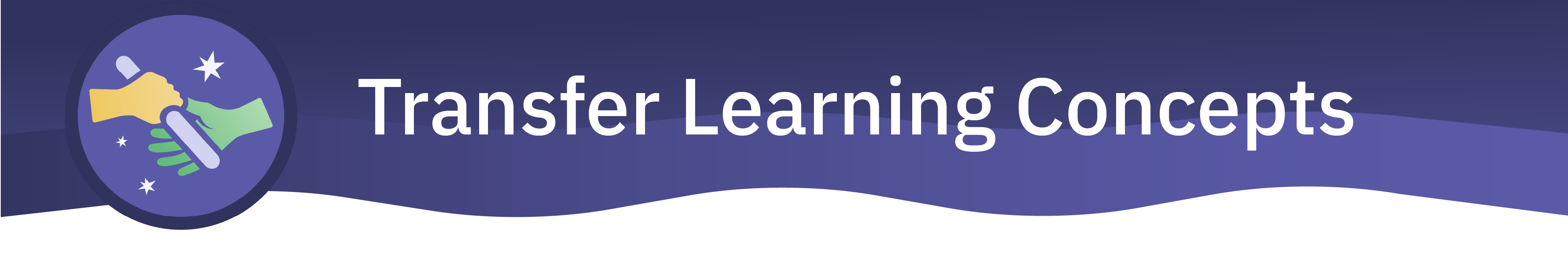 Transfer Learning Concepts banner