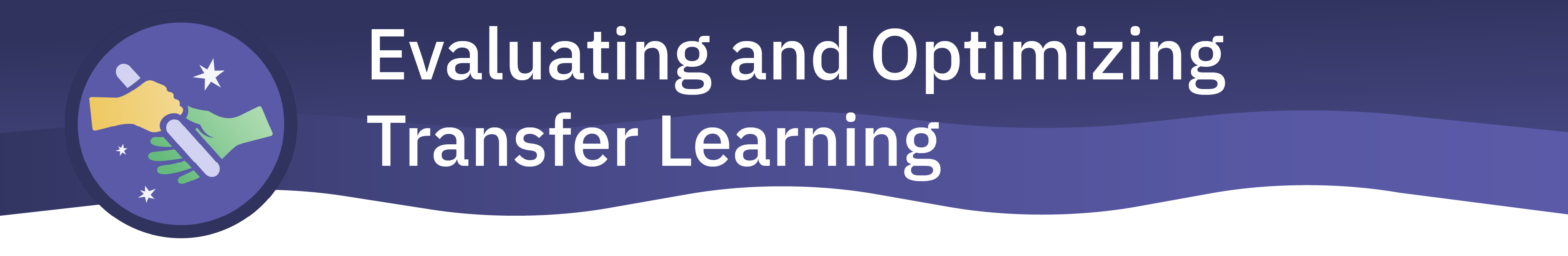 Evaluating and Optimizing Transfer Learning banner